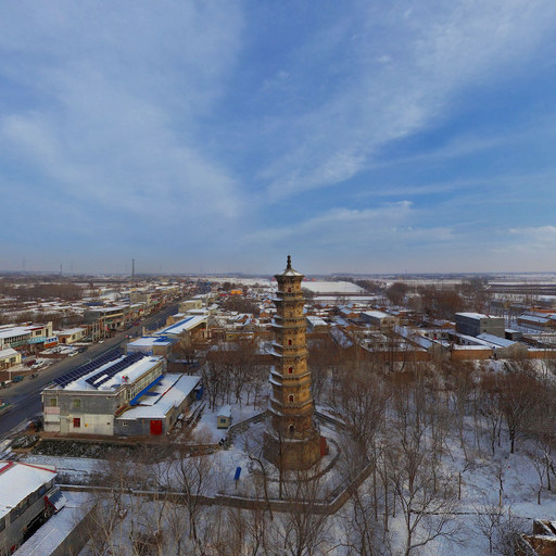 2020饶阳店塔雪景